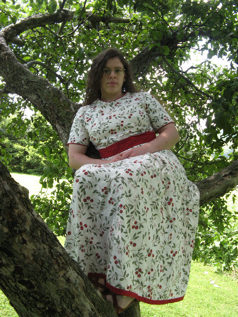 in a tree