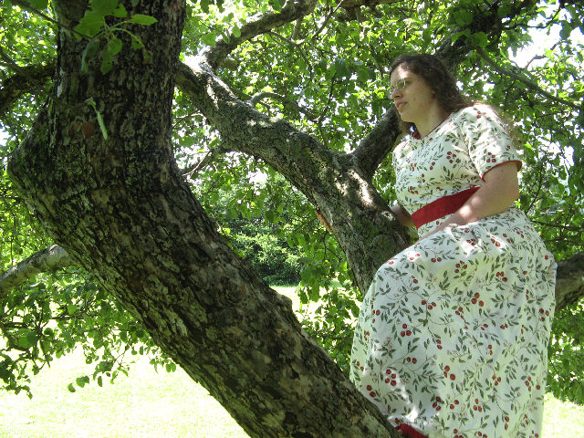 still in the tree