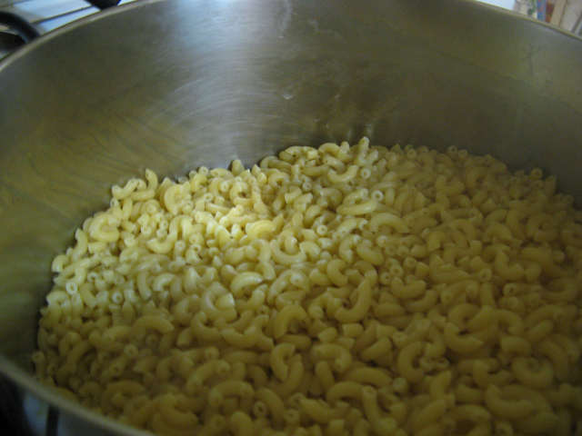 pasta in pot