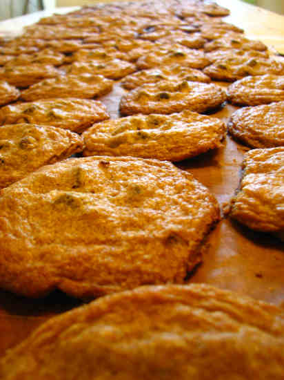 endless chocolate chip cookies