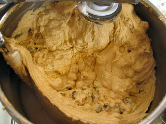 with chocolate chips